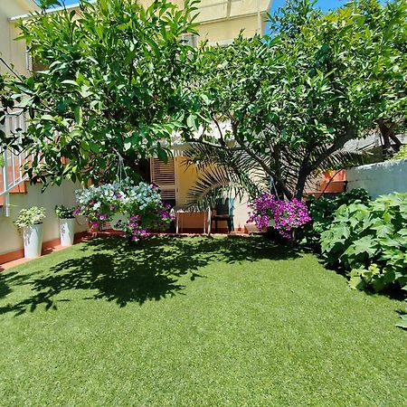 Apartments Gareta Gradac  Εξωτερικό φωτογραφία