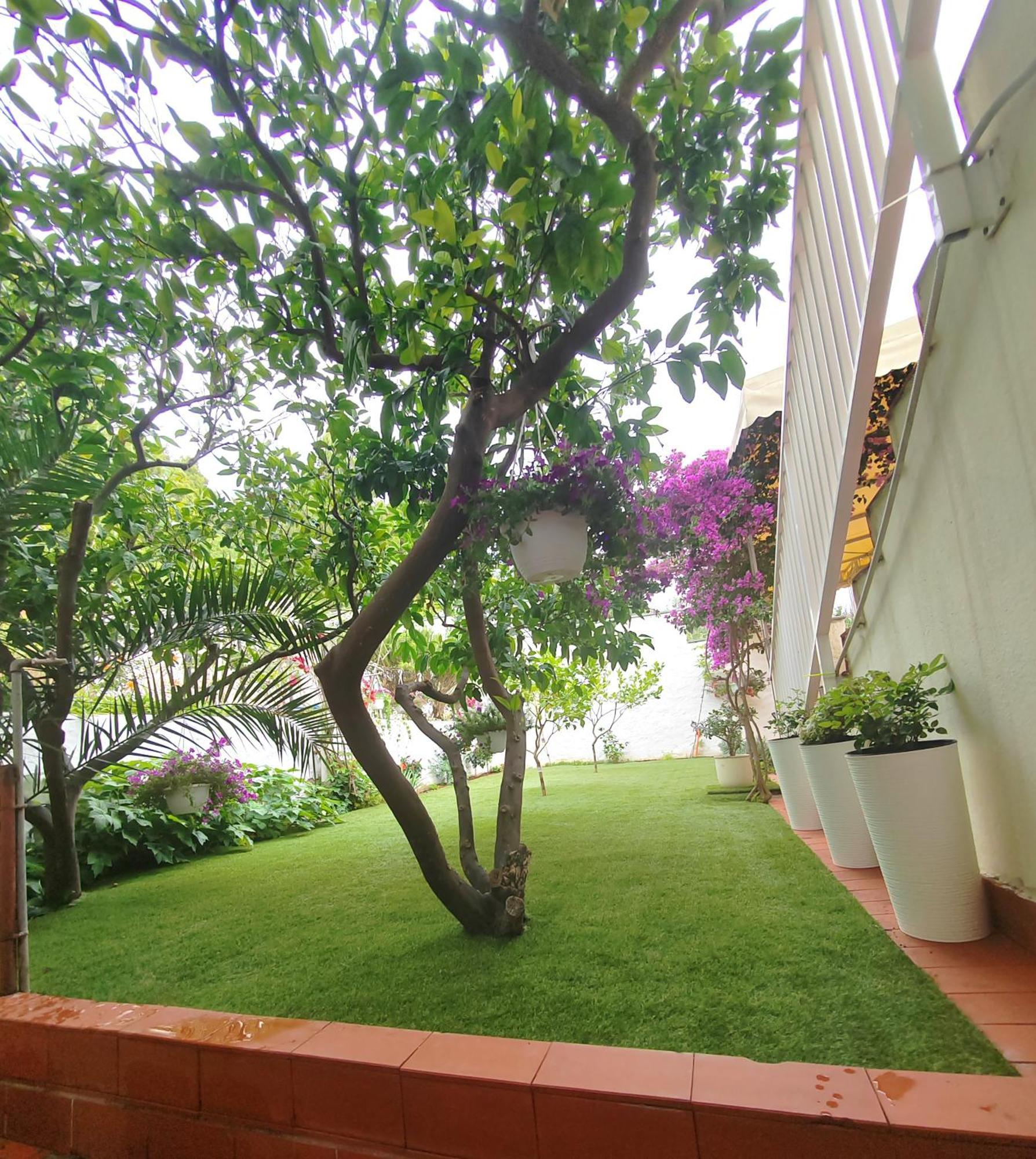 Apartments Gareta Gradac  Εξωτερικό φωτογραφία