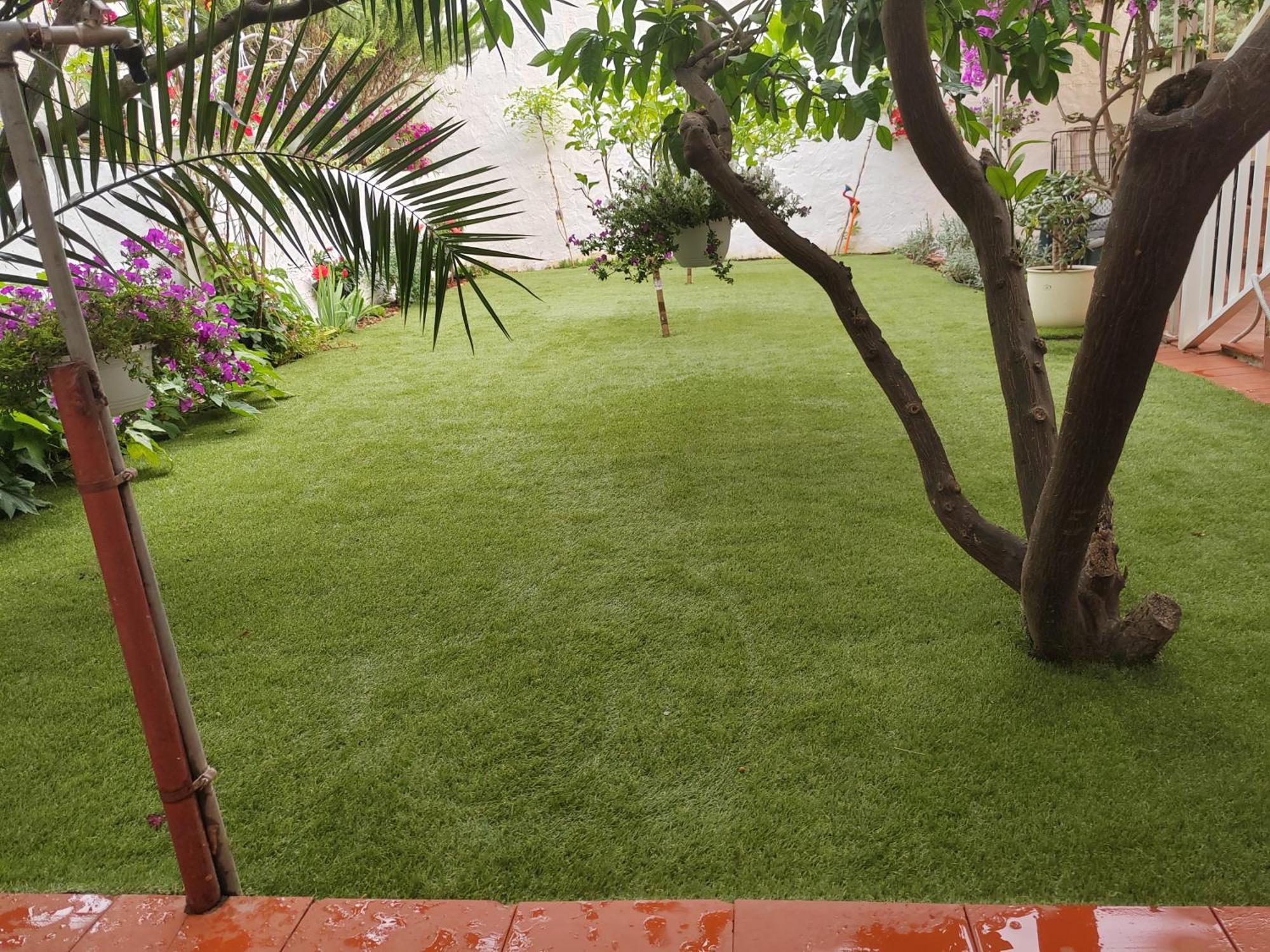 Apartments Gareta Gradac  Εξωτερικό φωτογραφία