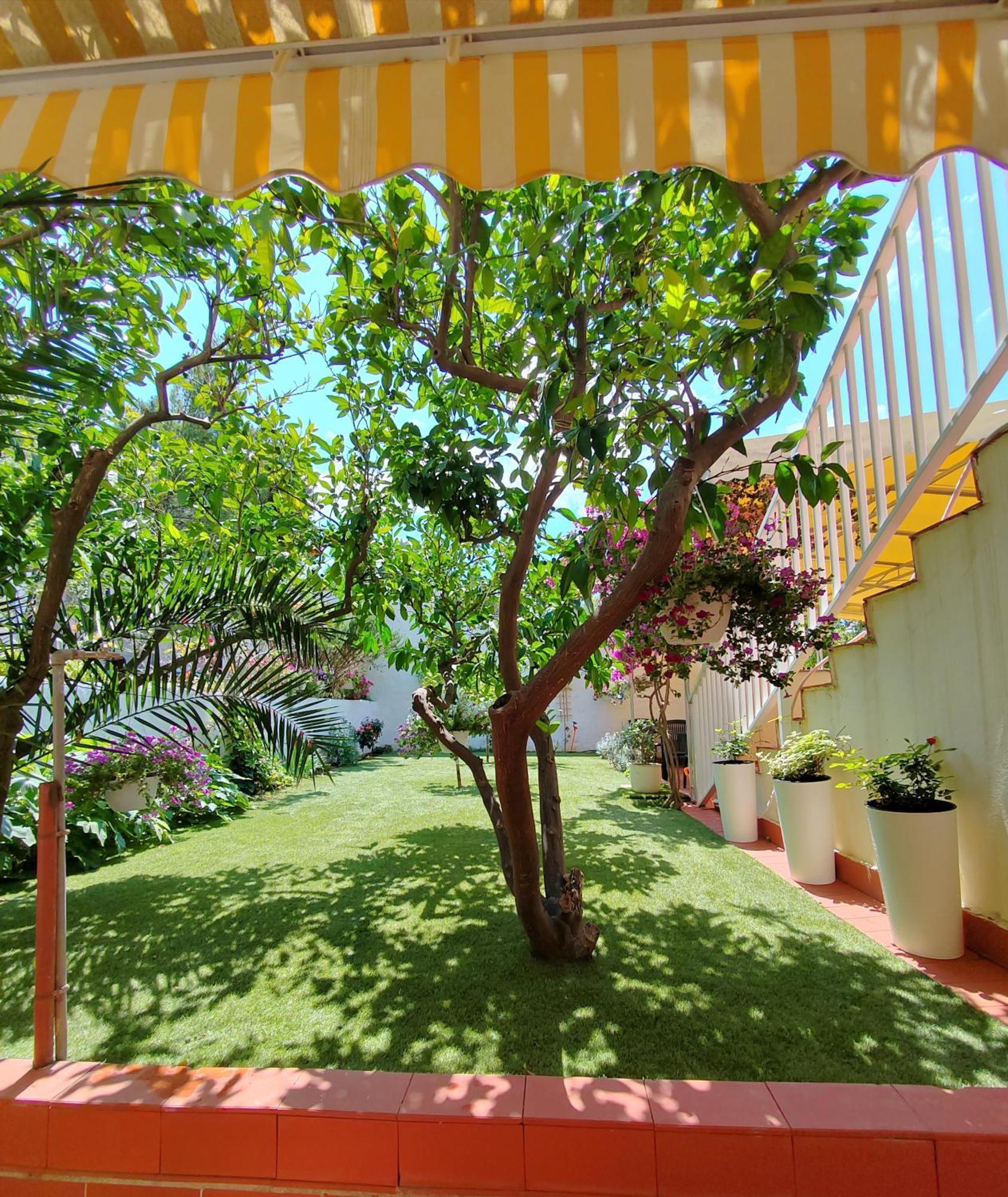 Apartments Gareta Gradac  Εξωτερικό φωτογραφία