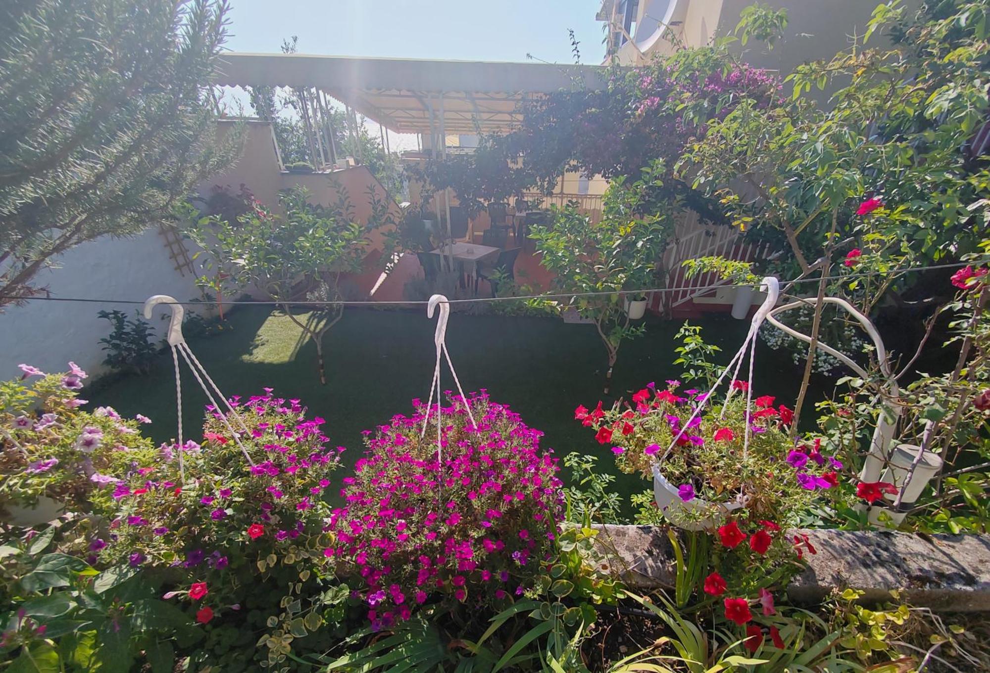 Apartments Gareta Gradac  Εξωτερικό φωτογραφία